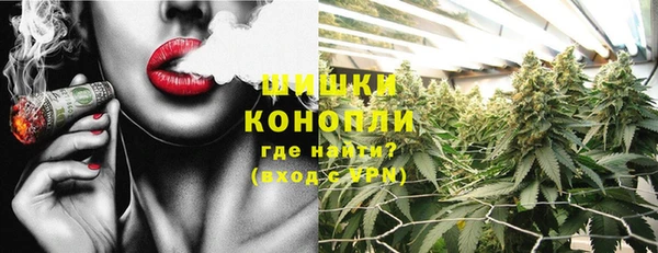 амф Елабуга