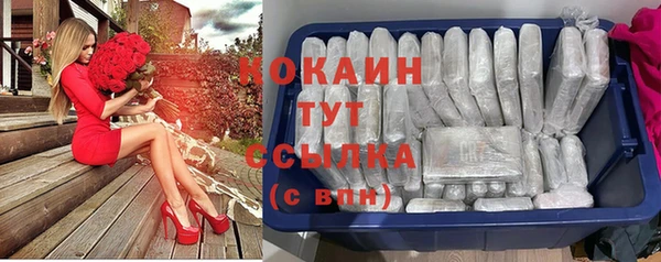 амф Елабуга