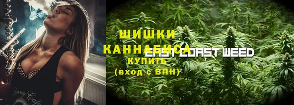 амф Елабуга
