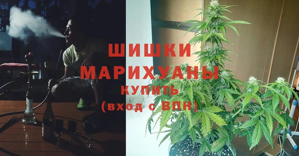 гидропоника Елизово