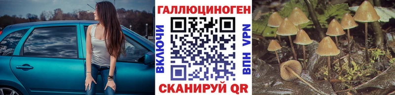 Галлюциногенные грибы мицелий  Купить закладки  Электросталь 